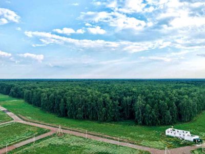 Участки в Чеховском районе