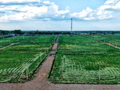 Участки в Чеховском районе