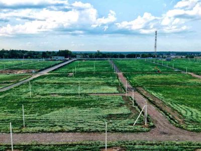 Участки в Чеховском районе