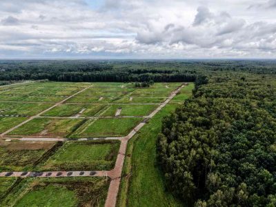 Дома в поселке Васькино Парк