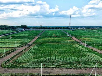 Участки в Чеховском районе