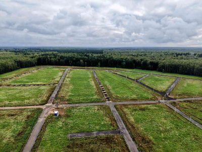 Дома в поселке Васькино Парк